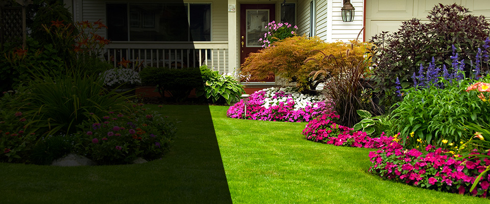 Winchester Landscapers
